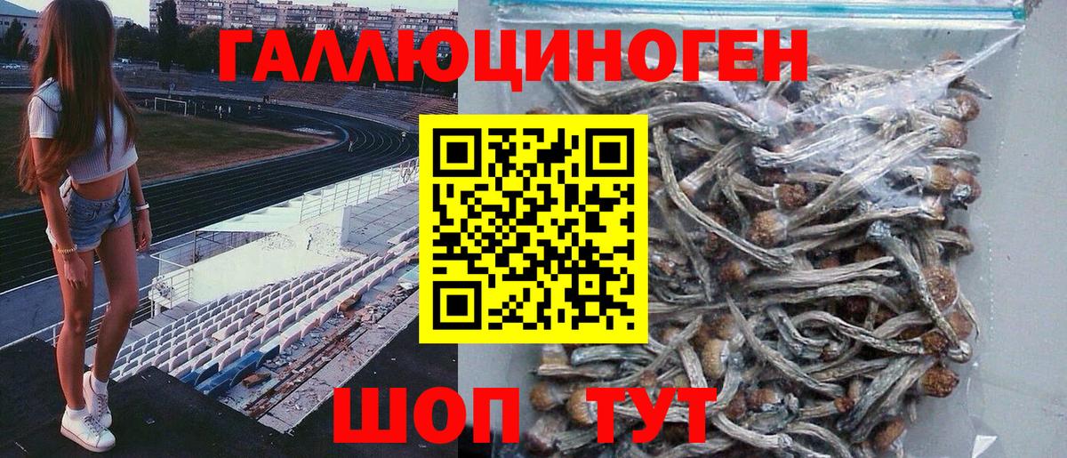 Котлас  Галлюциногенные грибы Magic Shrooms  Вход с VPN 
