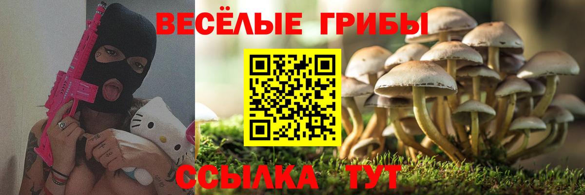 Галлюциногенные грибы GOLDEN TEACHER Котлас